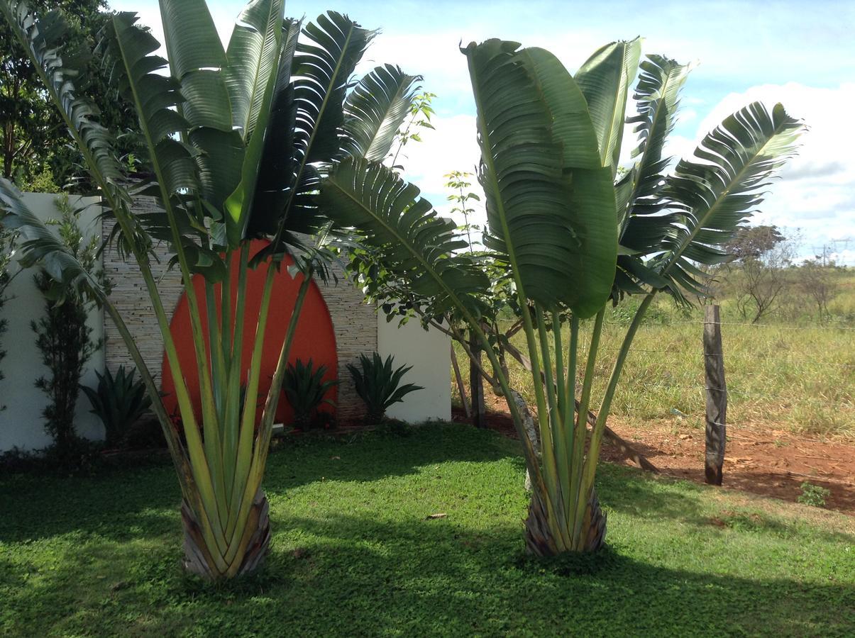 Imperium Inn Motel (Adults Only) Nova Ponte Exterior foto